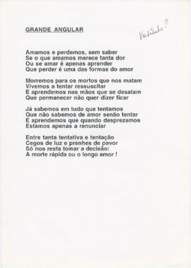 Poema "Grande angular"