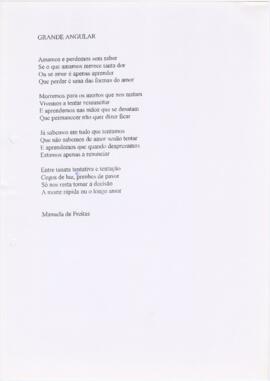 Poema "Grande angular"