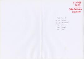 A. Muge 2014 - João Capinha saxofones