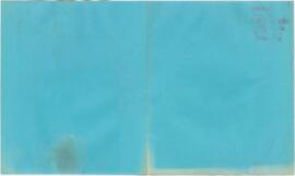 Camané - 2 orquestrações - Julho 2006