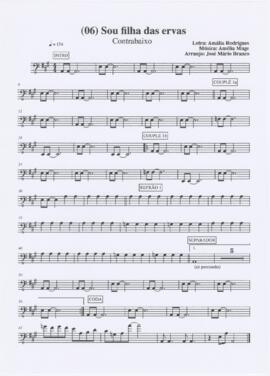 Parte de contrabaixo da canção "Sou filha das ervas"