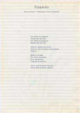 Letra da canção "Pingacho"