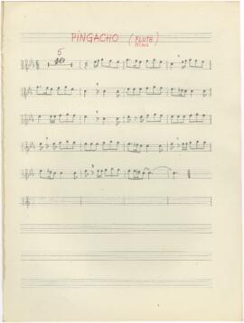 Parte de flauta piccolo da canção "Pingacho" + parte de flauta piccolo da canção "...